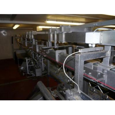 Systemate automatic cut-up line