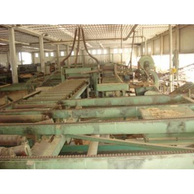 Plant Sawmill Primultini 1600 complete 1600/1700