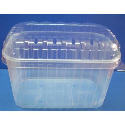 MOULD FOR LIDS on fruit container: