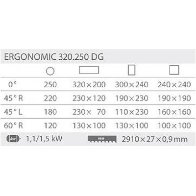 Przecinarka taśmowa Ergonomic 320.250 DG