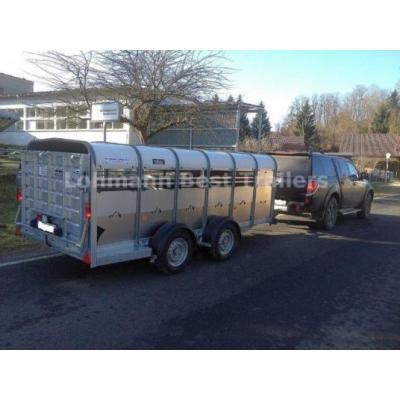 Ifor Williams TA5G 12 x 4   3660 x 1560 x 1180