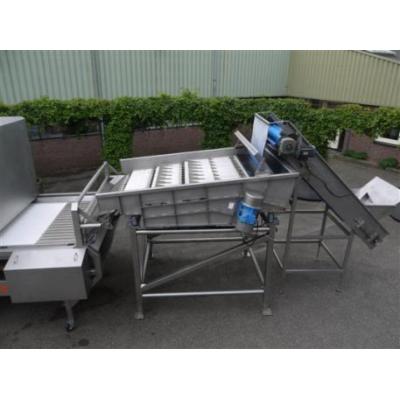 Concept Engineers optical grading machine for vege