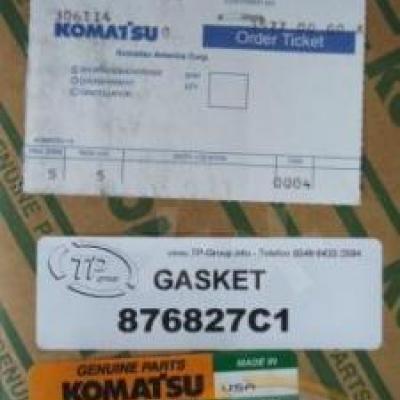 876827C1 Gasket Set