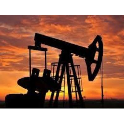 Coface: cena ropy trzęsie światem